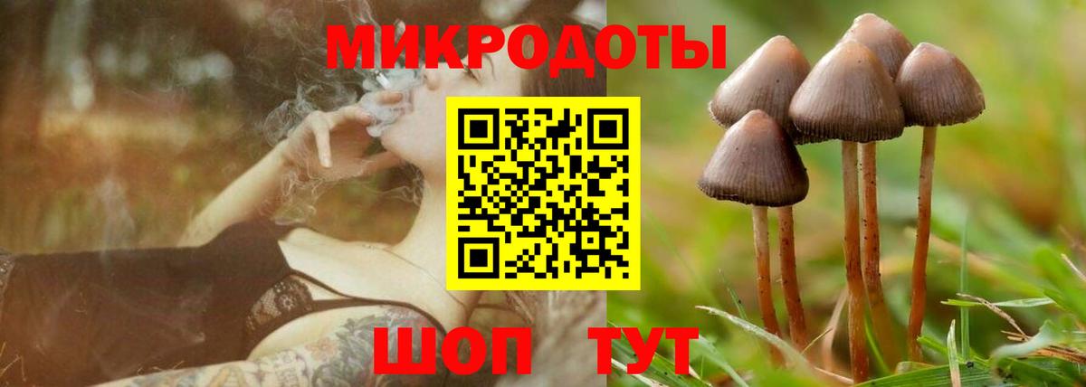 Псилоцибиновые грибы MAGIC MUSHROOMS Вологда
